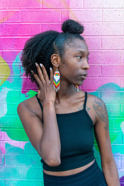 Beaded Rainbow Fringe Earrings